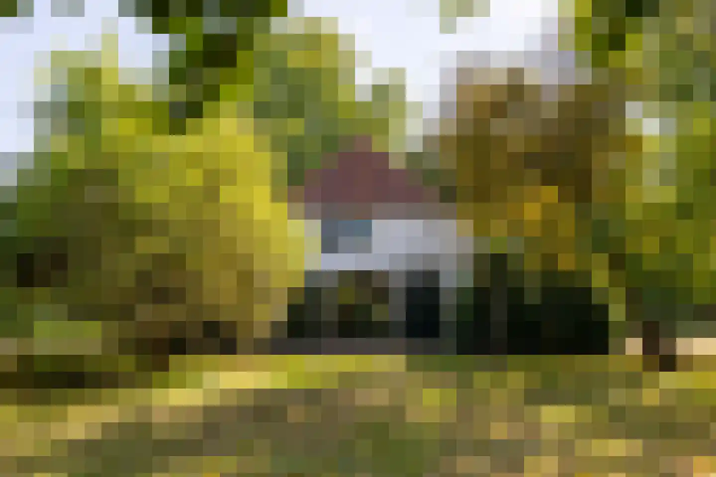 Loofaert 1 Berlicum thumbnail 47