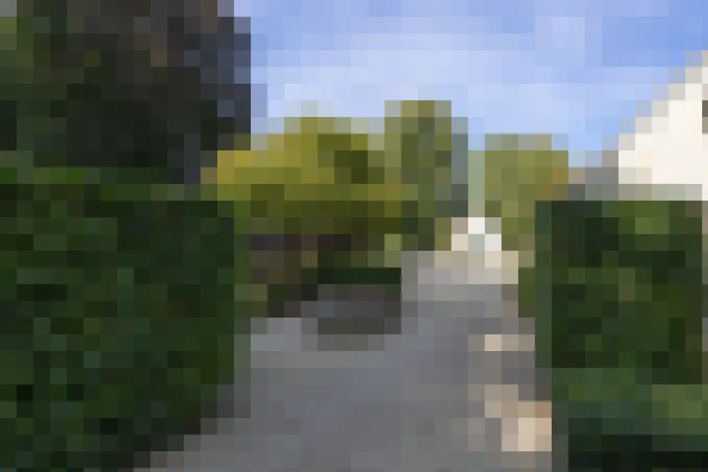 Loofaert 1 Berlicum thumbnail 5
