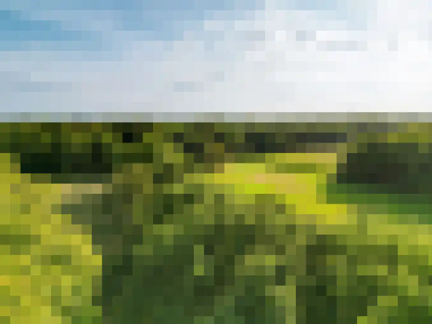 Loofaert 1 Berlicum thumbnail 63
