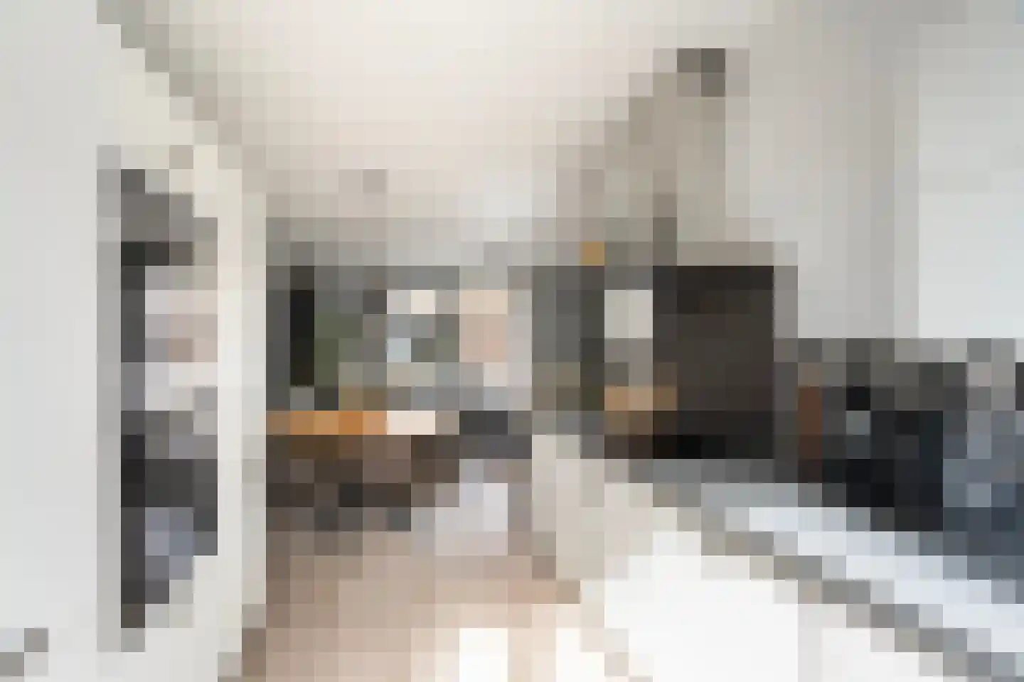 Loofdakstraat 29 Rotterdam thumbnail 12