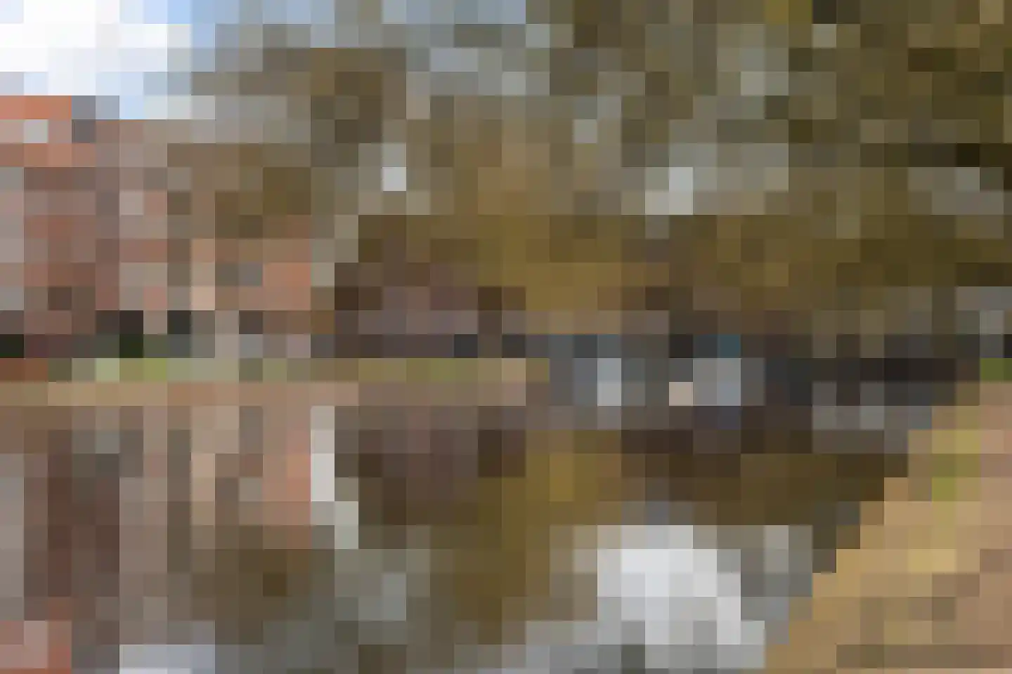 Loofdakstraat 29 Rotterdam thumbnail 38