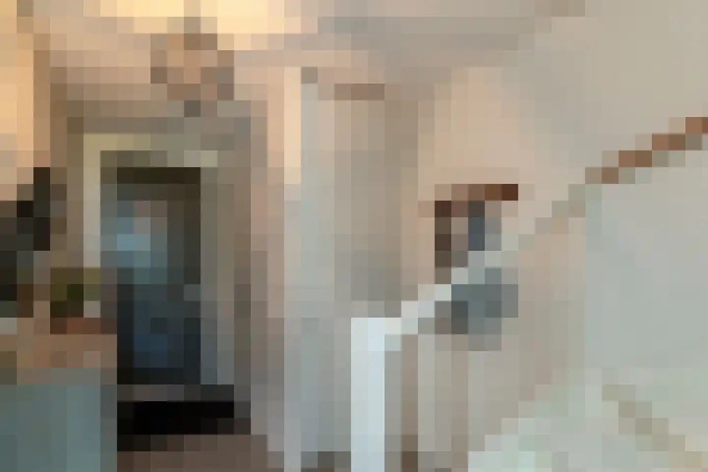 Loofgang 11 Rijswijk thumbnail 25