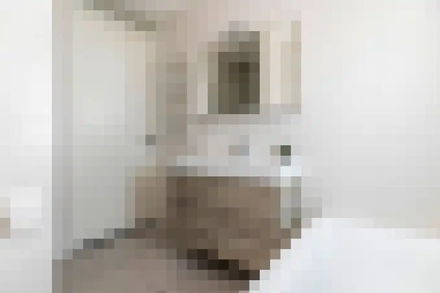 Loofgang 11 Rijswijk thumbnail 33