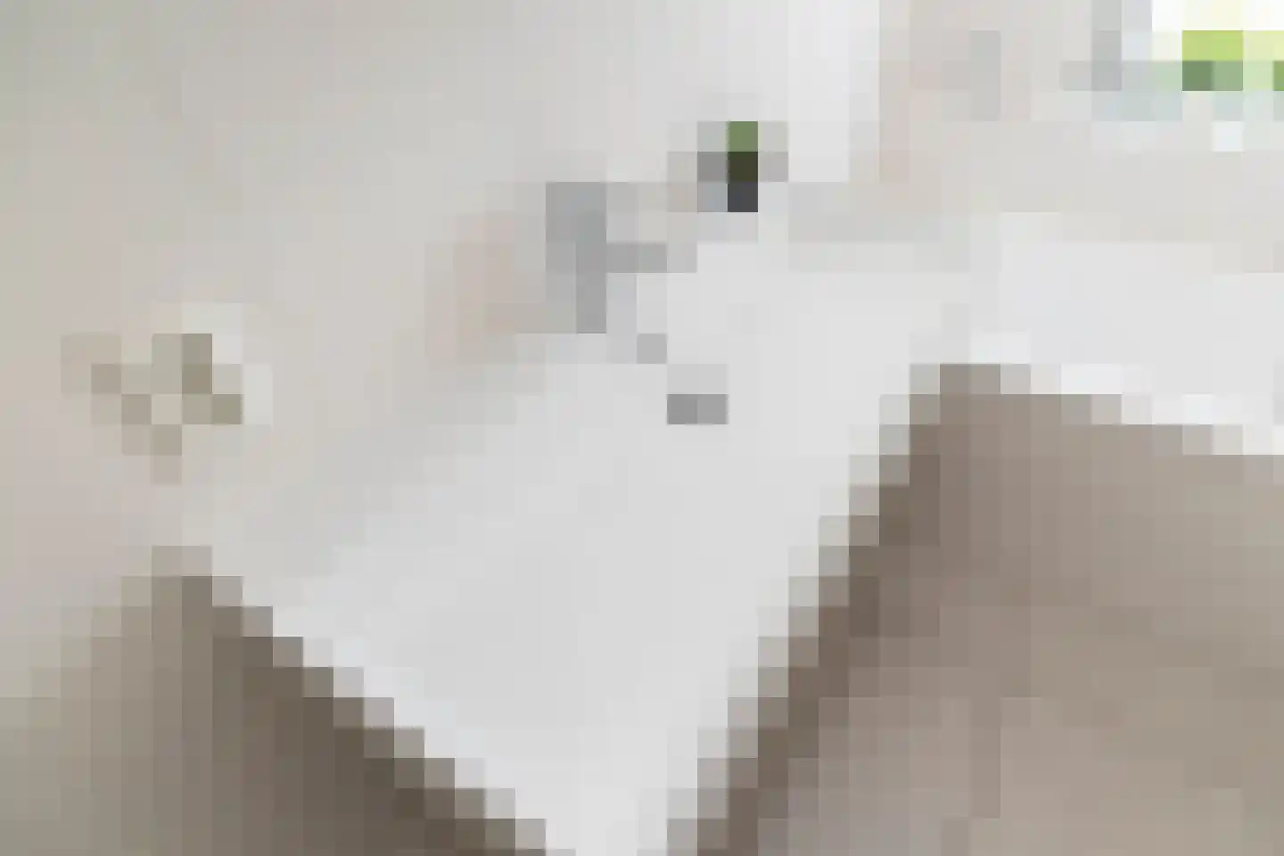 Loofgang 11 Rijswijk thumbnail 36