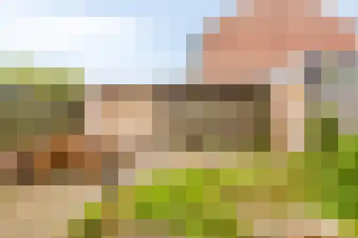 Loofhout 12 Etten-Leur thumbnail 30