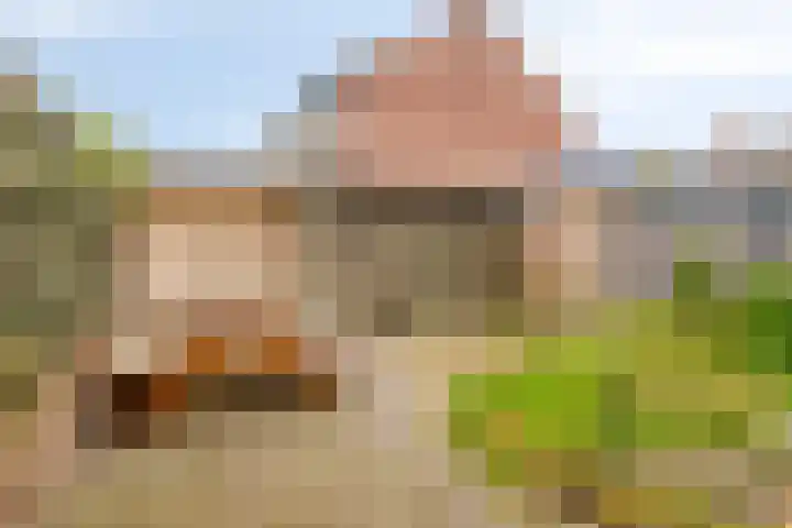 Loofhout 12 Etten-Leur thumbnail 5