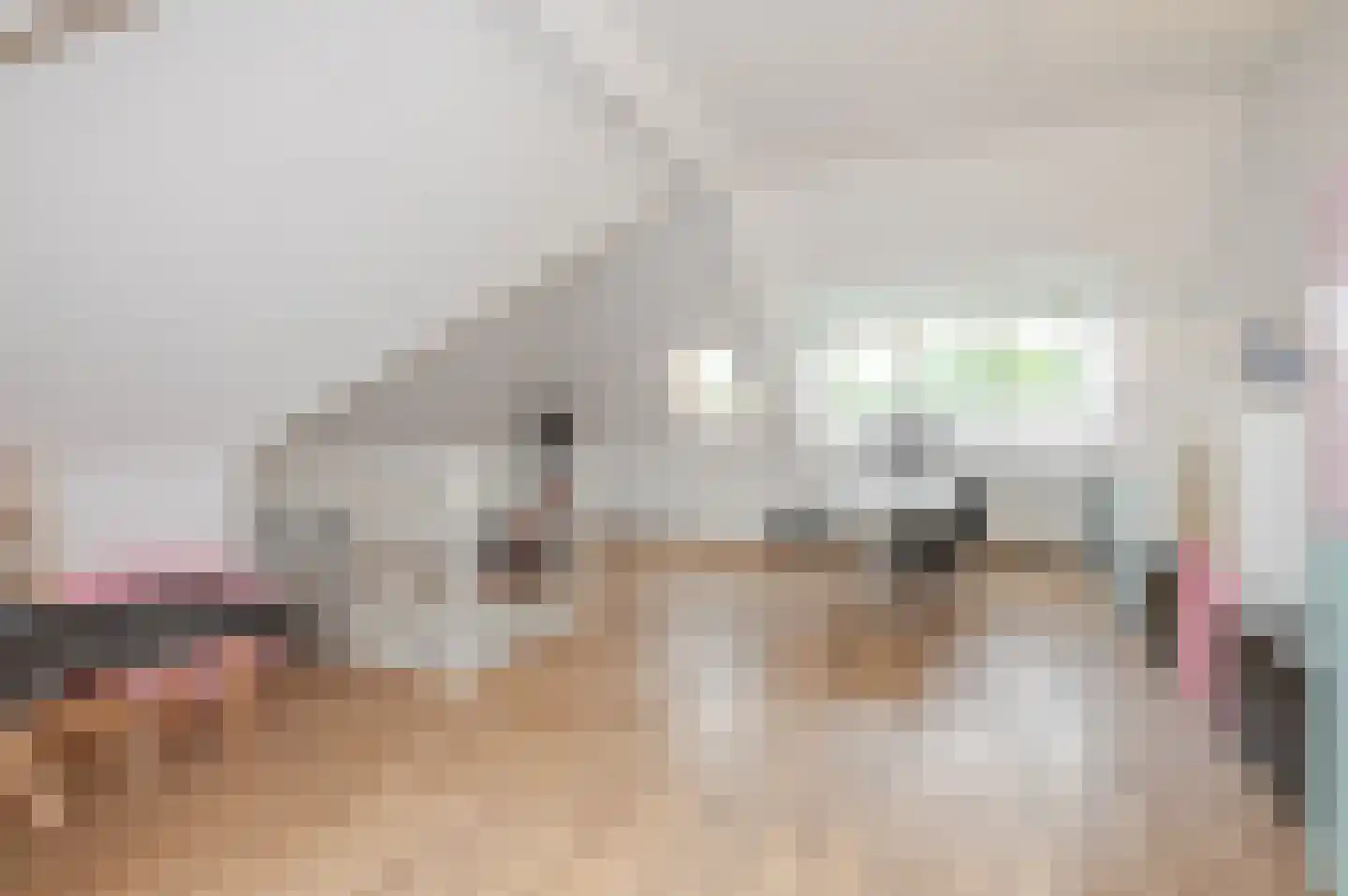 Loofslinger 3 Den Haag thumbnail 10