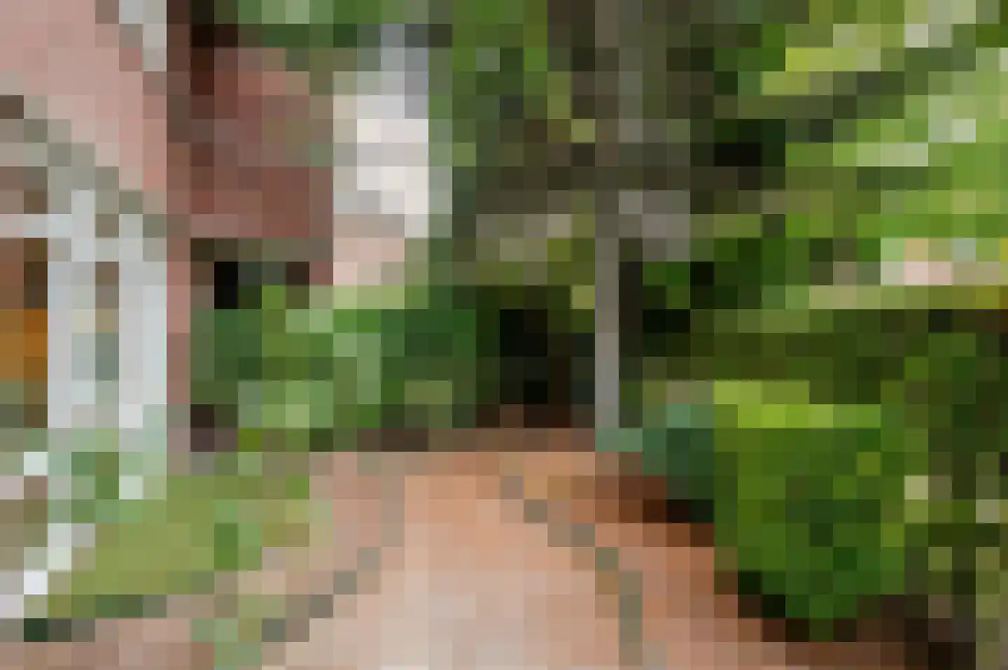 Loofslinger 3 Den Haag thumbnail 13