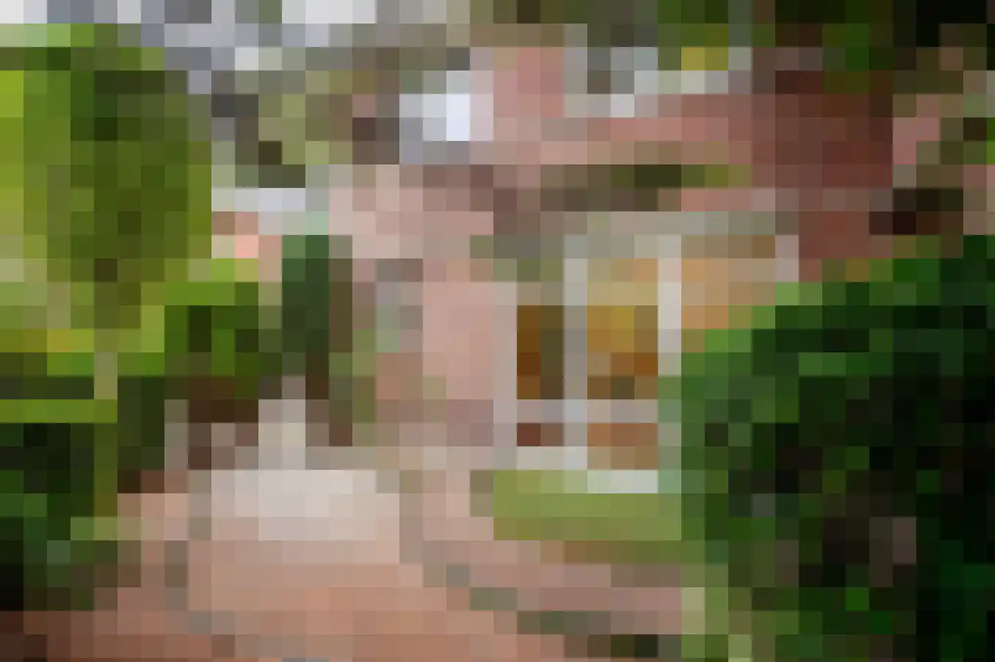 Loofslinger 3 Den Haag thumbnail 14