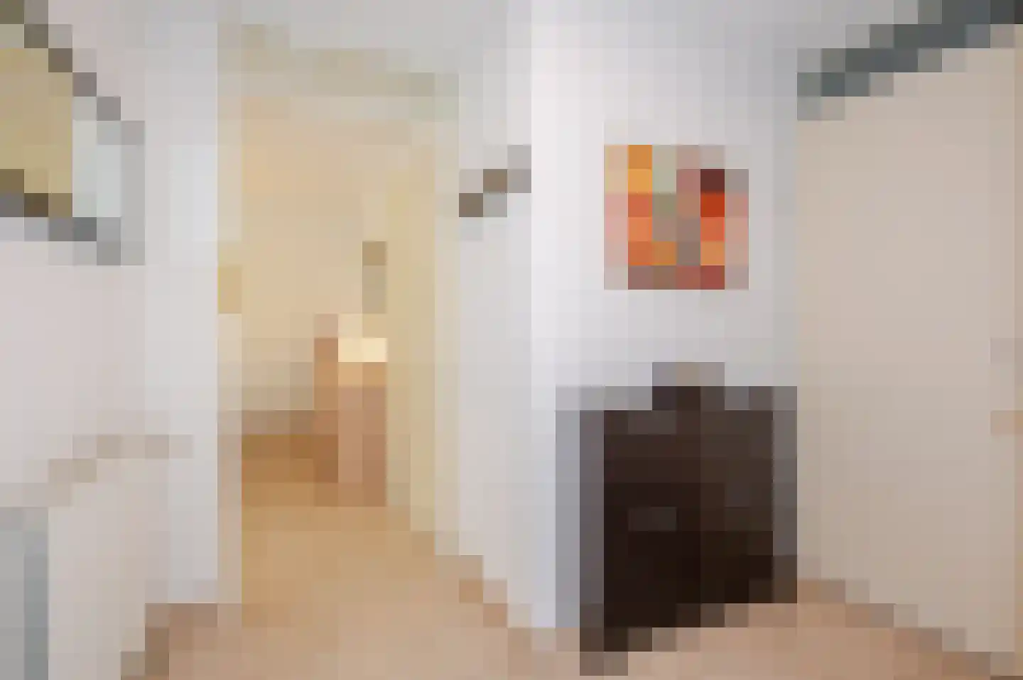 Loofslinger 3 Den Haag thumbnail 18