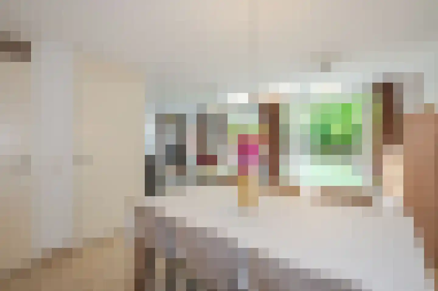 Loofslinger 3 Den Haag thumbnail 21