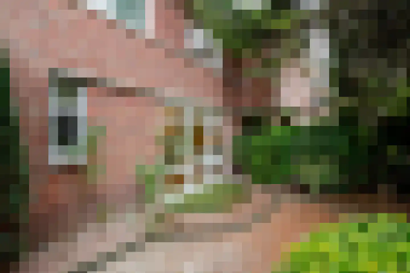 Loofslinger 3 Den Haag thumbnail 28