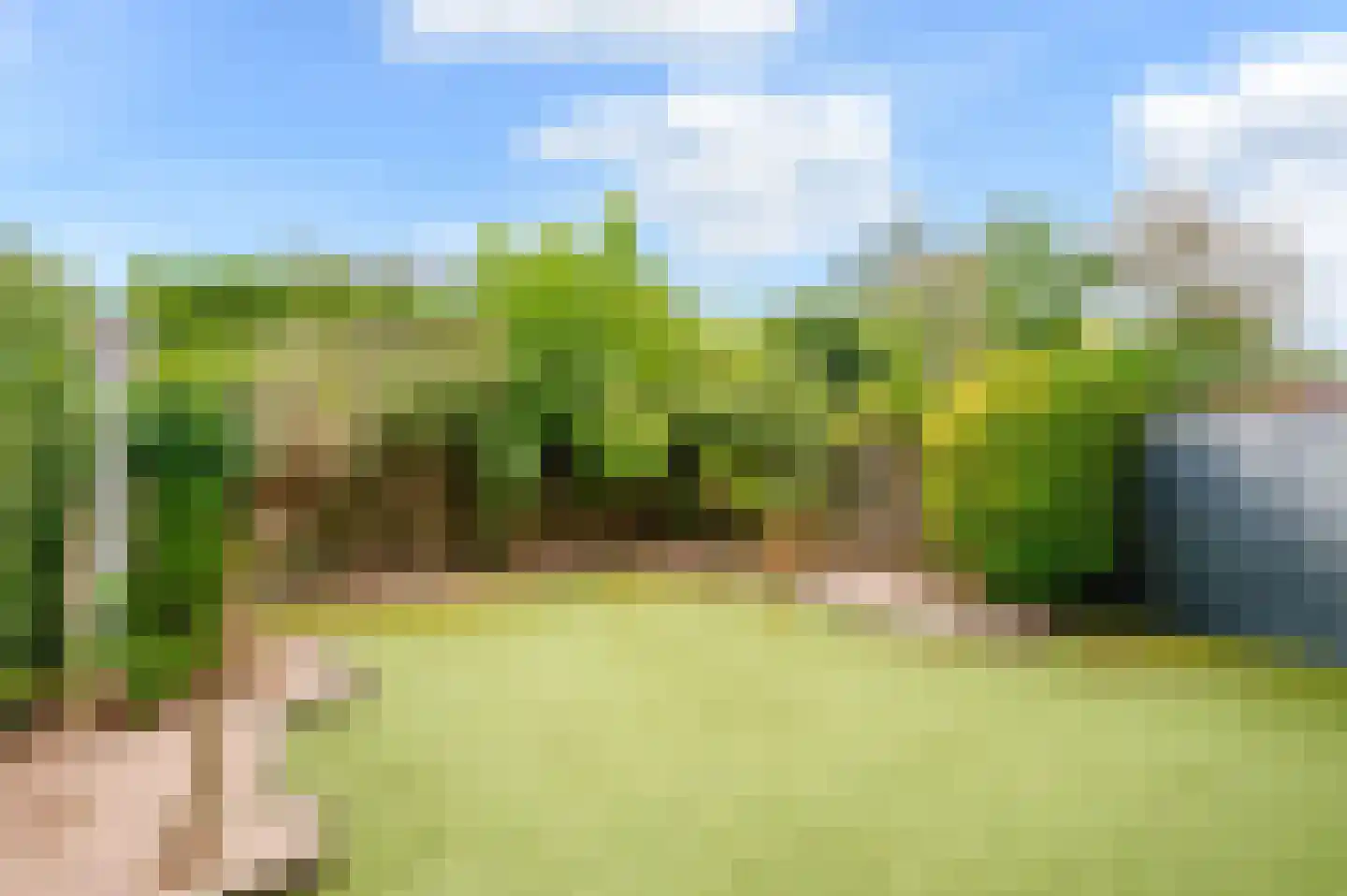 Loofslinger 3 Den Haag thumbnail 34