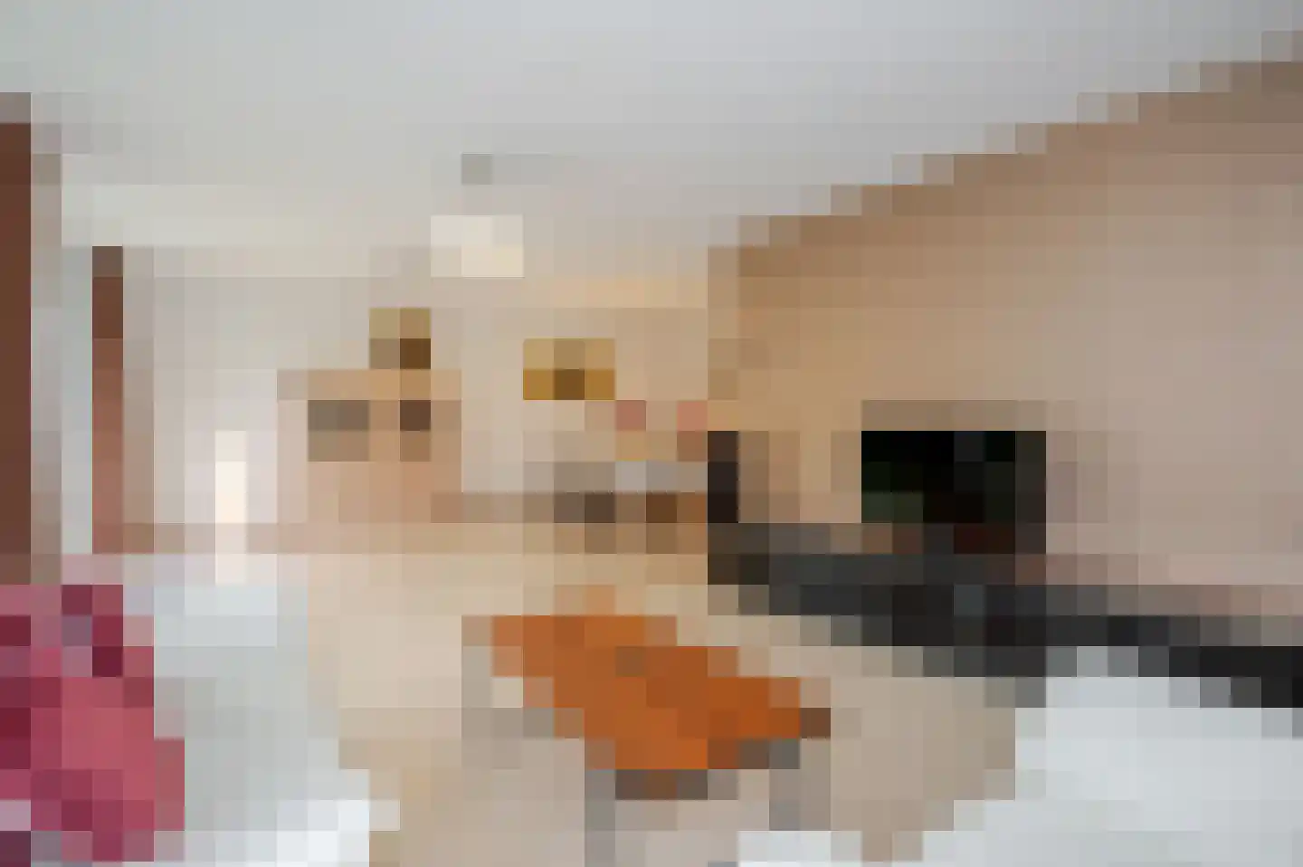 Loofslinger 3 Den Haag thumbnail 39
