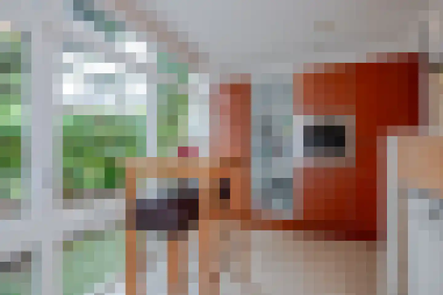 Loofslinger 3 Den Haag thumbnail 46
