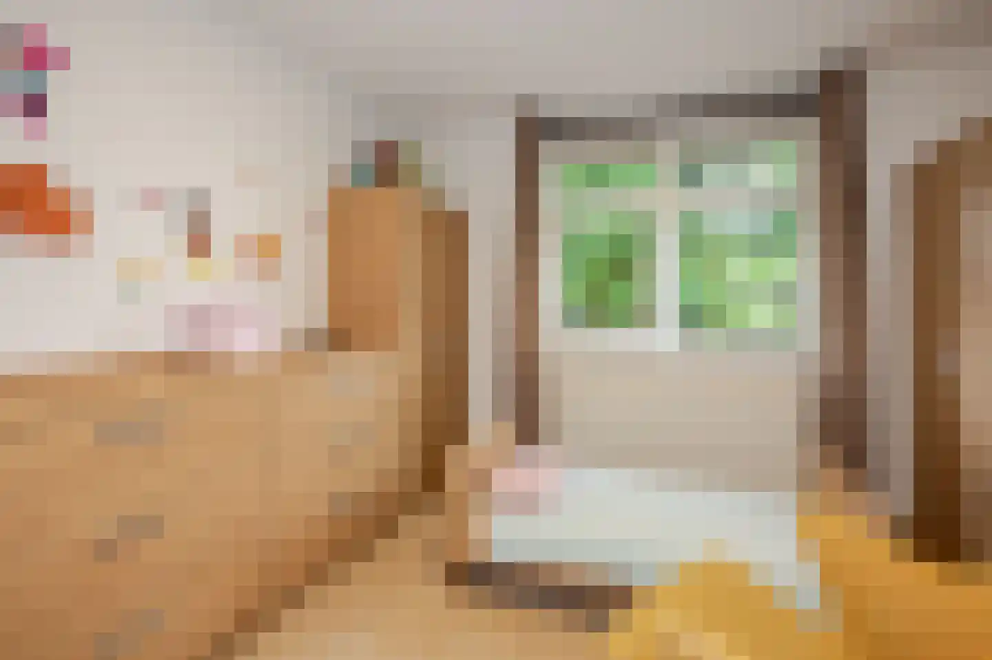 Loofslinger 3 Den Haag thumbnail 67