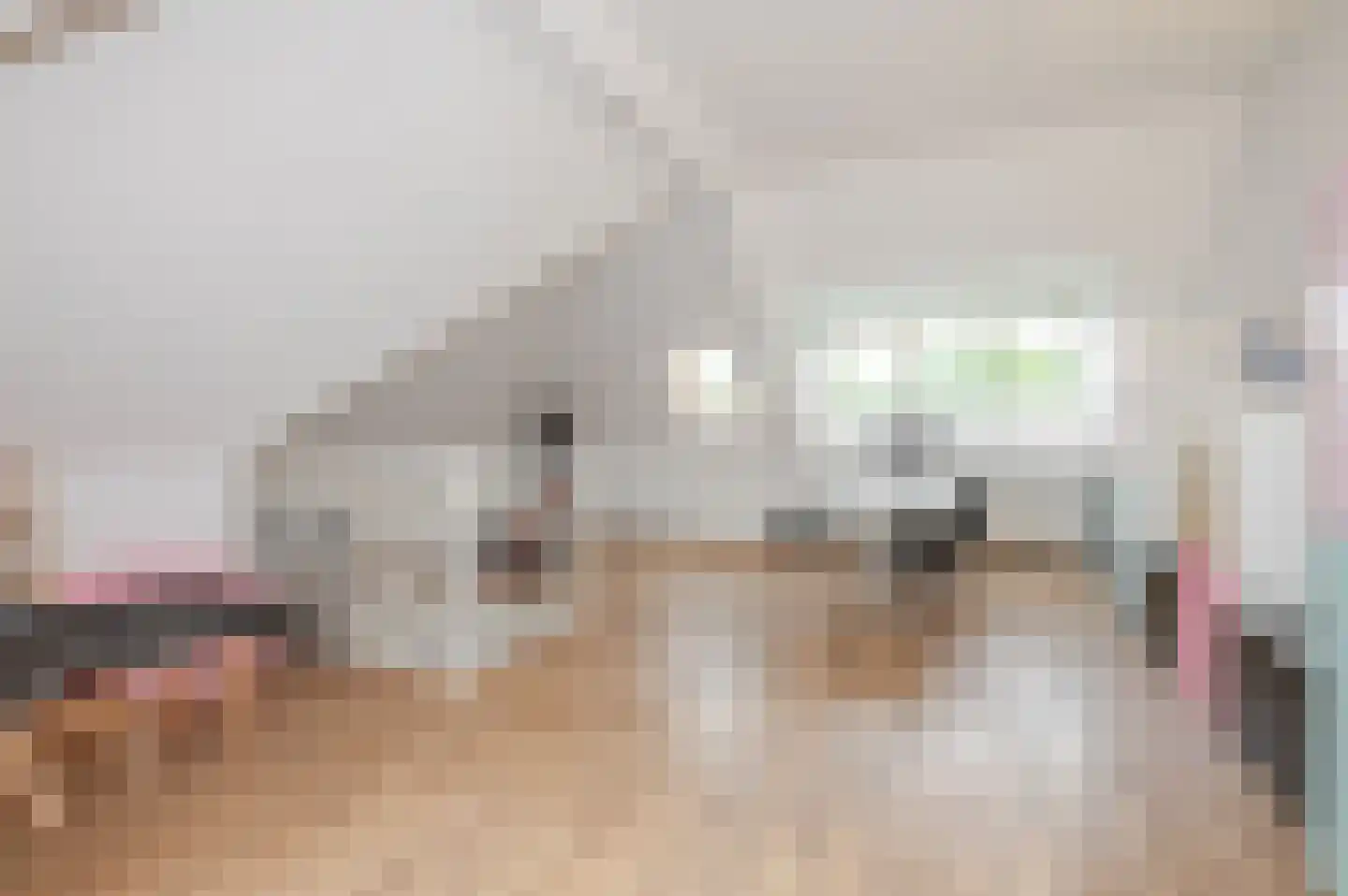 Loofslinger 3 Den Haag thumbnail 83