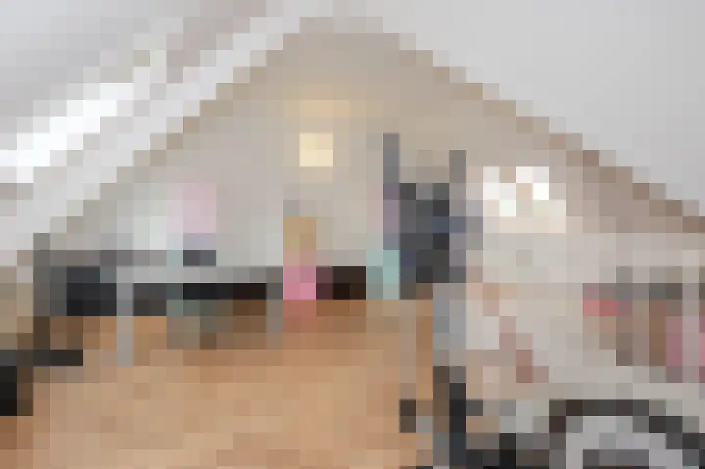 Loofslinger 3 Den Haag thumbnail 85