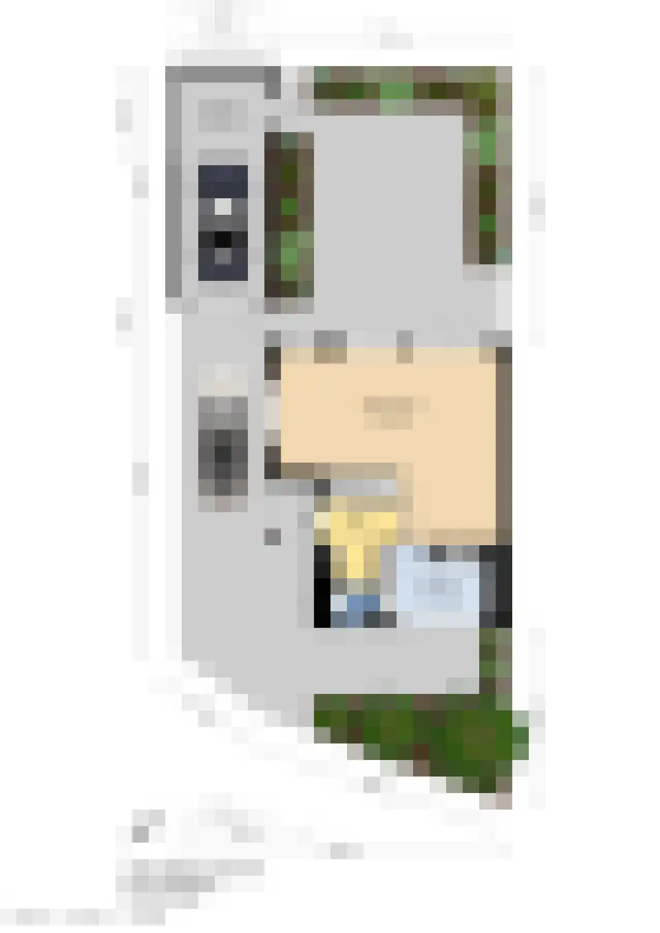 Loofslinger 3 Den Haag thumbnail 89