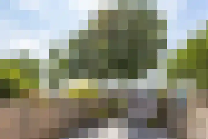 Loogkruidstraat 12 Almere thumbnail 33