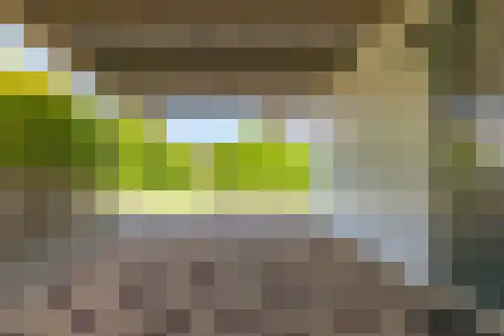 Loogkruidstraat 12 Almere thumbnail 37