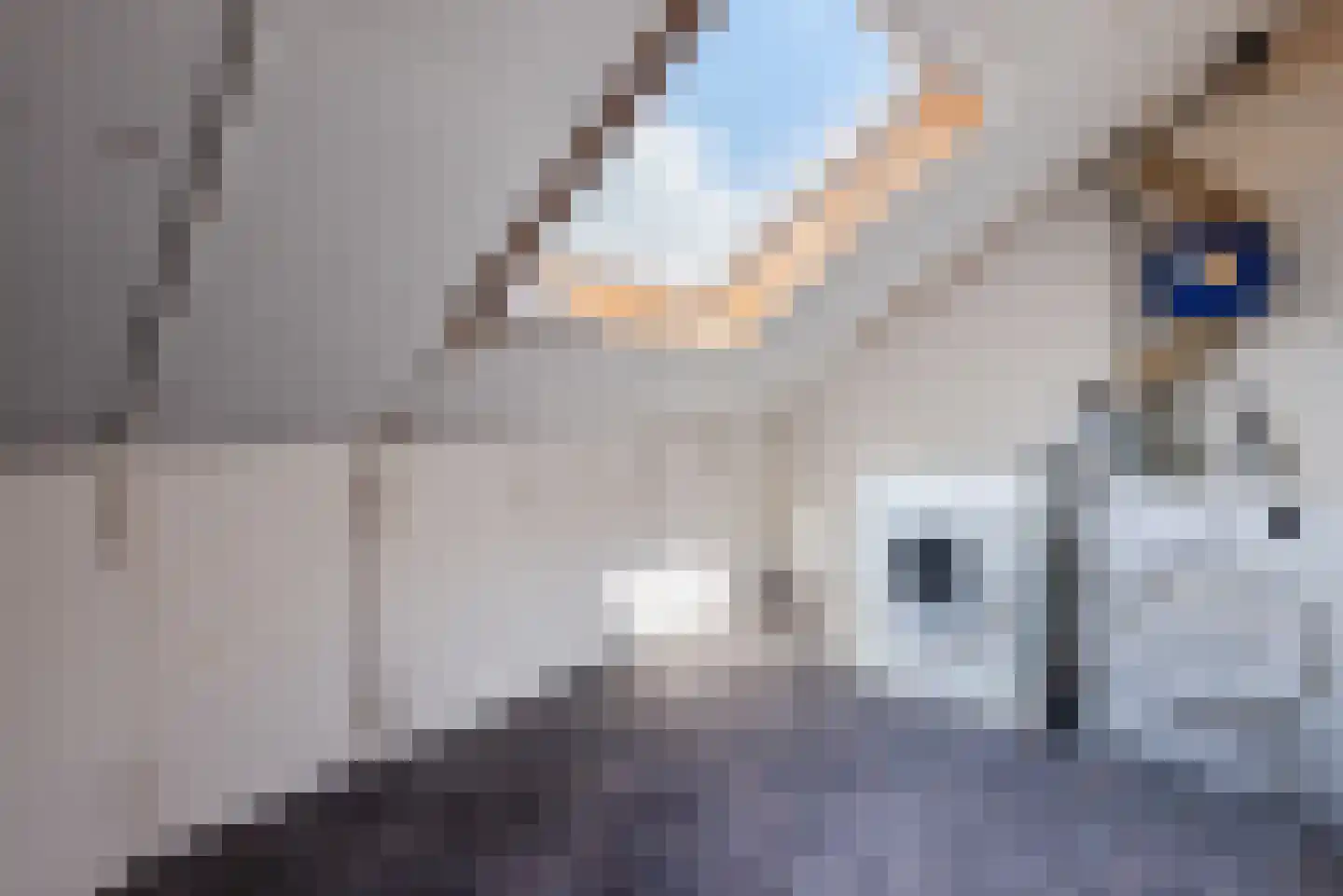 Loogkruidstraat 7 Almere thumbnail 31