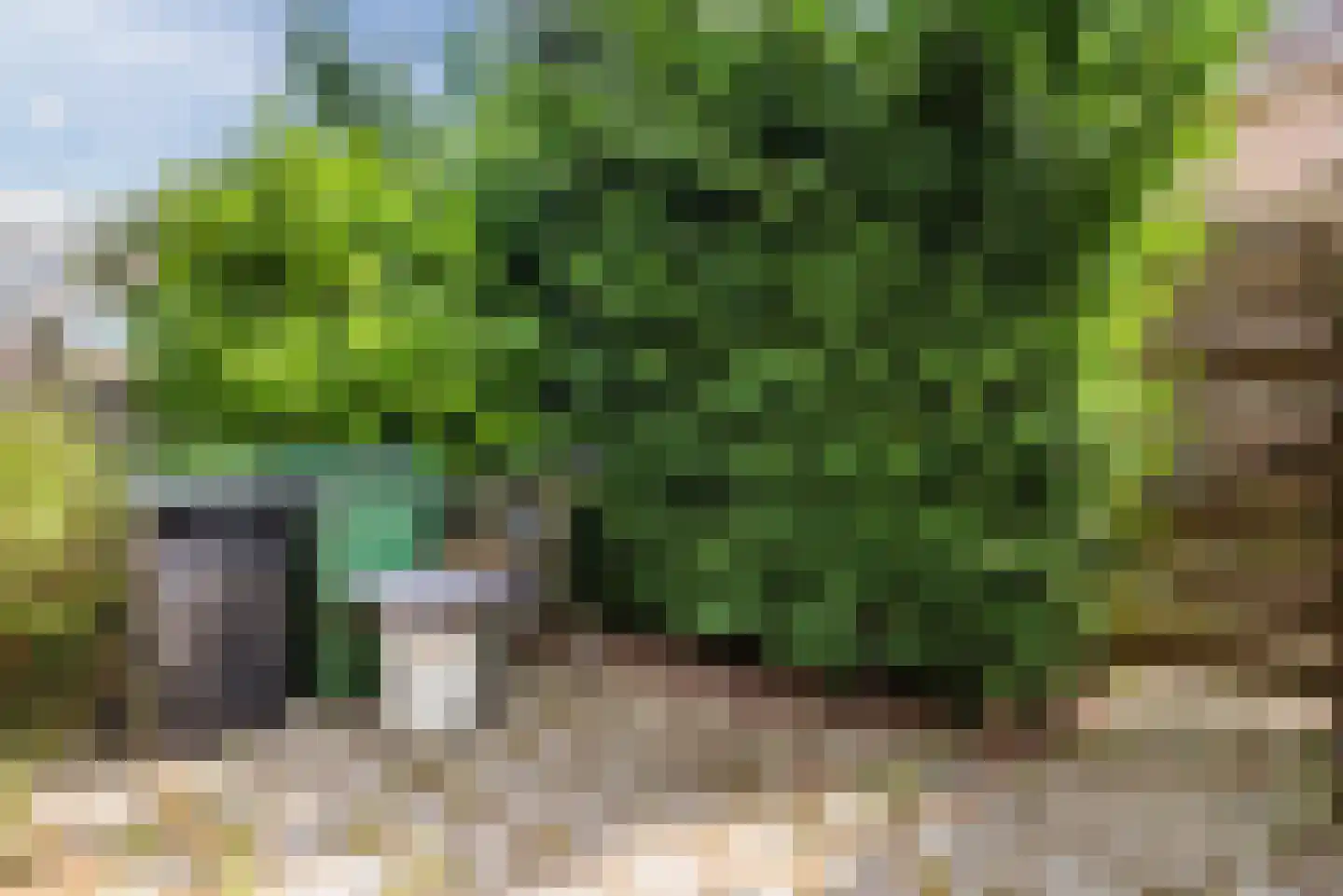 Loogkruidstraat 7 Almere thumbnail 38
