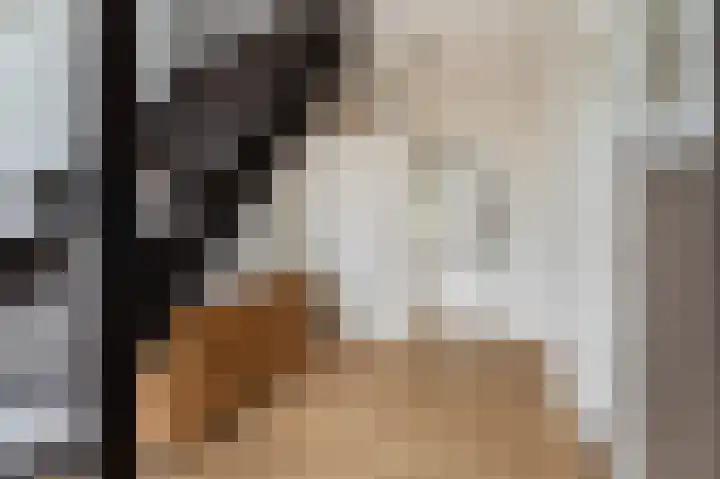 Loogstraat 12 Wilsum thumbnail 10