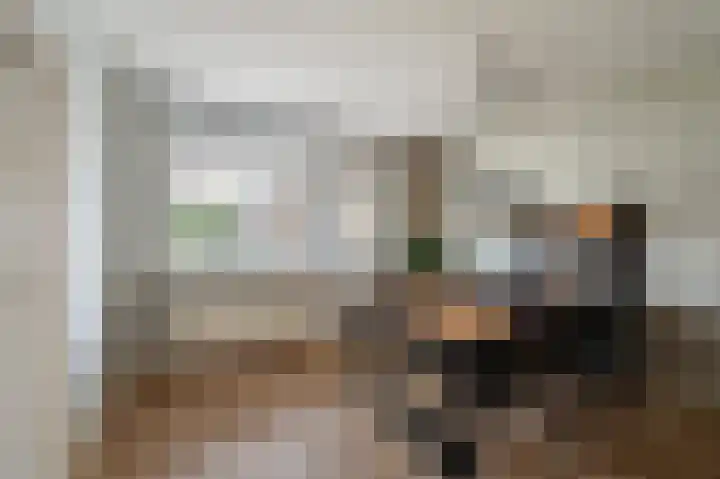 Loogstraat 12 Wilsum thumbnail 16