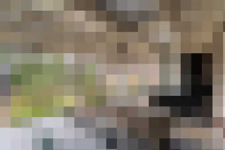 Loogstraat 12 Wilsum thumbnail 28