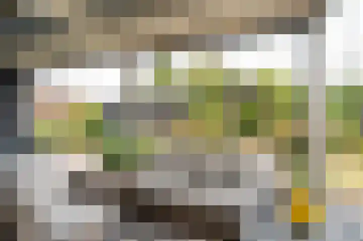 Loogstraat 12 Wilsum thumbnail 29