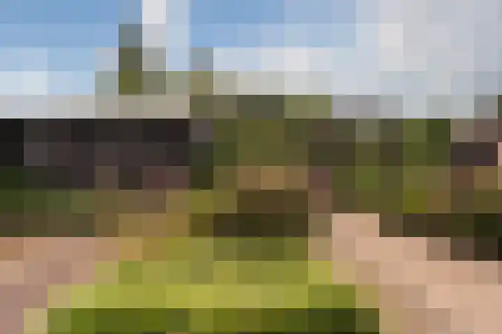 Loogstraat 12 Wilsum thumbnail 30
