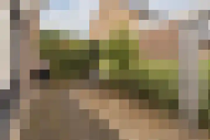 Loogstraat 12 Wilsum thumbnail 31