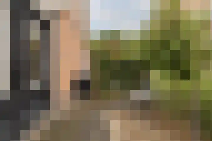 Loogstraat 12 Wilsum thumbnail 32