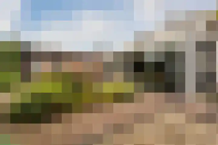 Loogstraat 12 Wilsum thumbnail 34