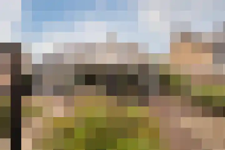 Loogstraat 12 Wilsum thumbnail 35