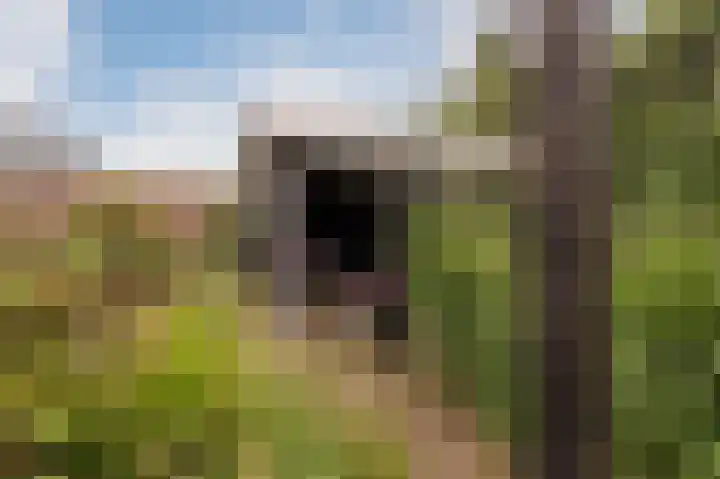 Loogstraat 12 Wilsum thumbnail 36