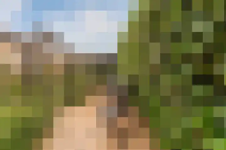 Loogstraat 12 Wilsum thumbnail 38