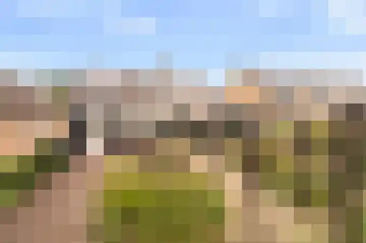 Loogstraat 12 Wilsum thumbnail 39