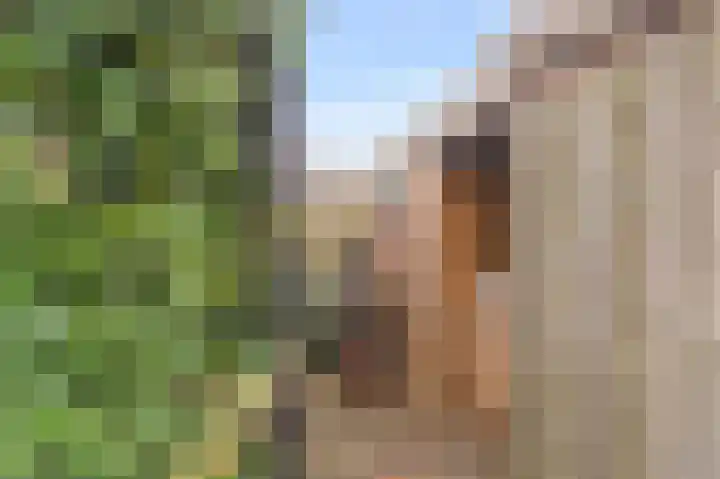 Loogstraat 12 Wilsum thumbnail 40
