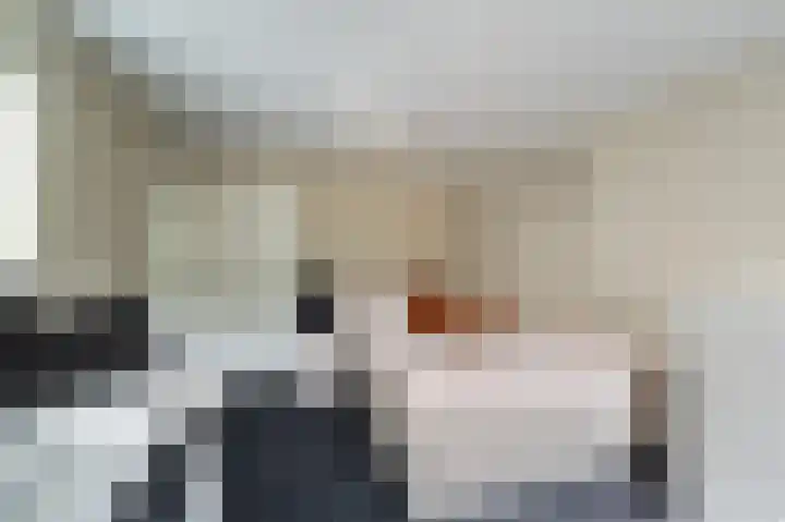 Loogstraat 12 Wilsum thumbnail 46