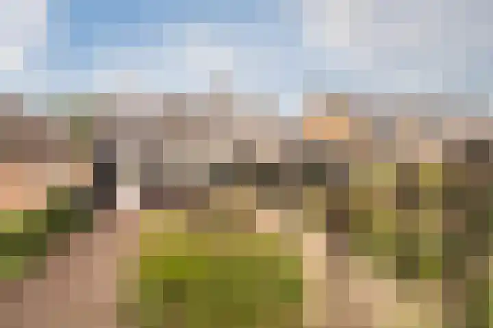Loogstraat 12 Wilsum thumbnail 5