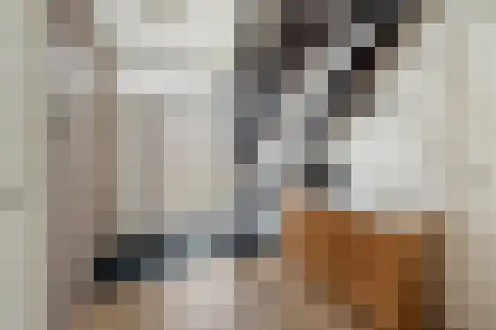 Loogstraat 12 Wilsum thumbnail 51