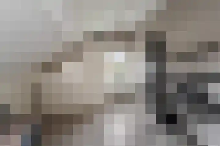Loogstraat 12 Wilsum thumbnail 57