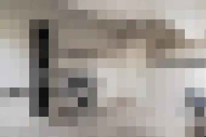 Loogstraat 12 Wilsum thumbnail 59