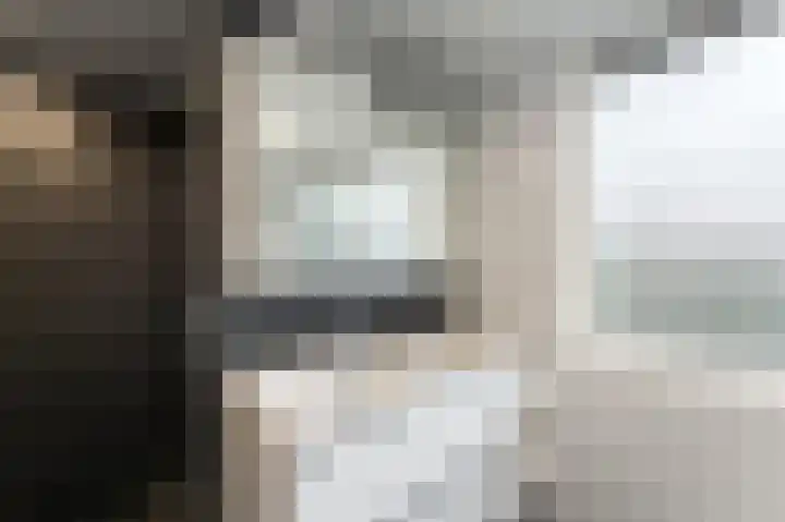Loogstraat 12 Wilsum thumbnail 64