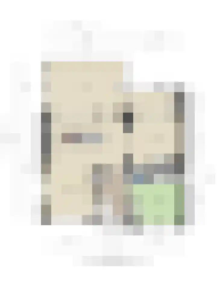 Loogstraat 12 Wilsum thumbnail 71