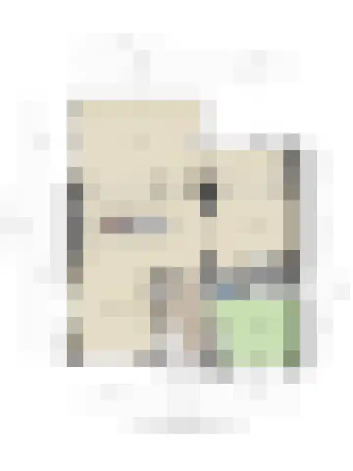 Loogstraat 12 Wilsum thumbnail 9