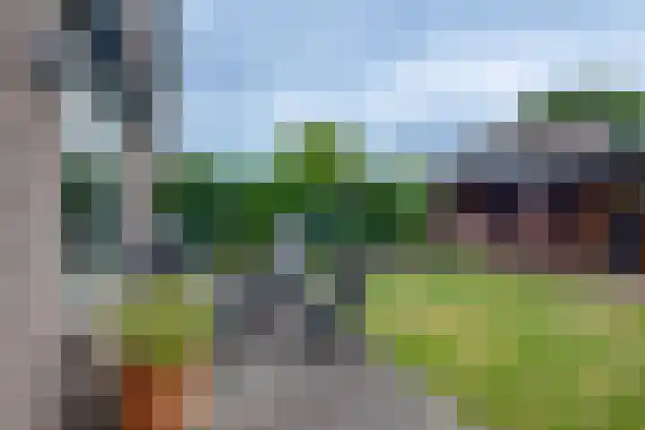 Loohof 3 Spankeren thumbnail 21