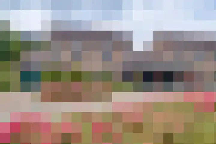 Loohof 3 Spankeren thumbnail 29